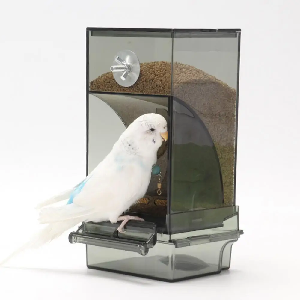 

Anti-swing Bird Feeder Bird Food Dispenser Spacious Automatic Bird Feeder for Small Birds Transparent Food Container No Mess