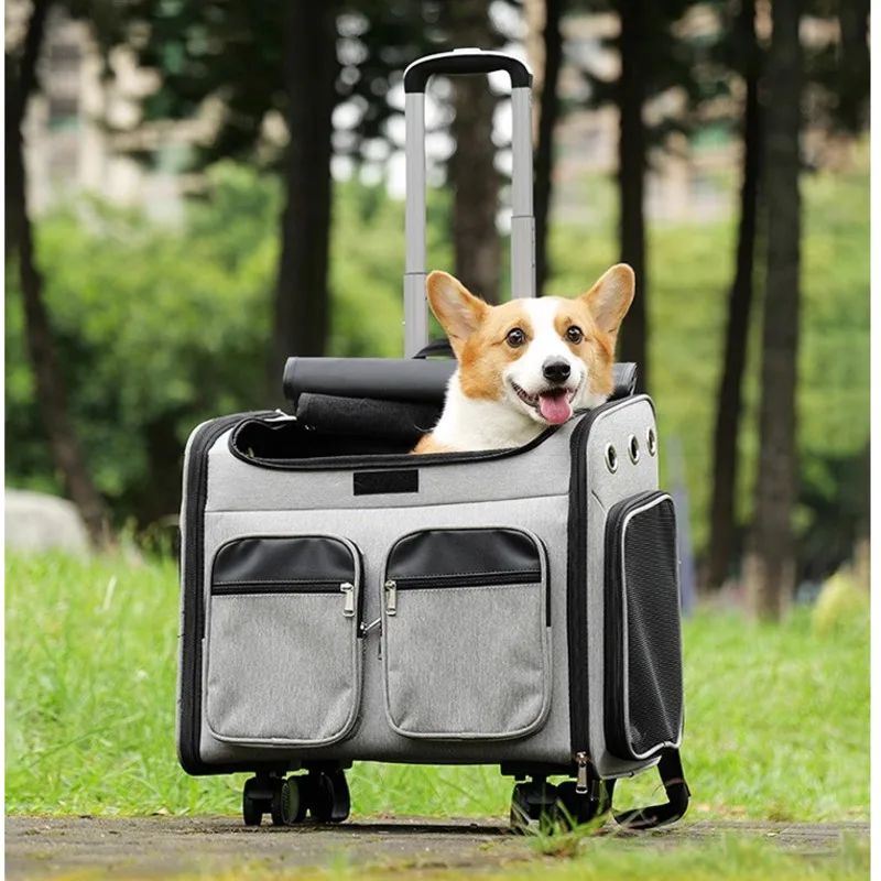 Large Capacity Pet Backpack Convenient Travel Stroller For Animals Reinforcement Rod Dog Seat Multi Functional Dogs Basket