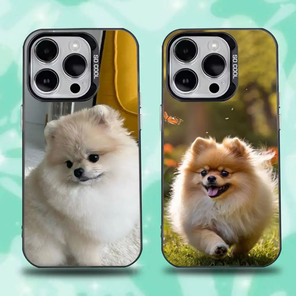 

Cute Pomeranian Dogs Phone Case For iPhone 16,15,14,13,12,11,Mini,Pro,E,SE4,XS,MAX Black Candy Matte Cover