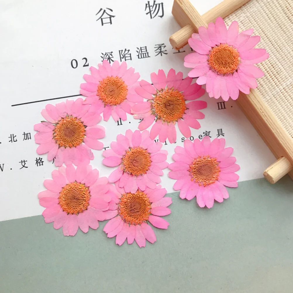 30 個ピンク押し花本物の自然色 DIY フラワークラフト材料結婚式の装飾ホームオフィスパーティー手作り花