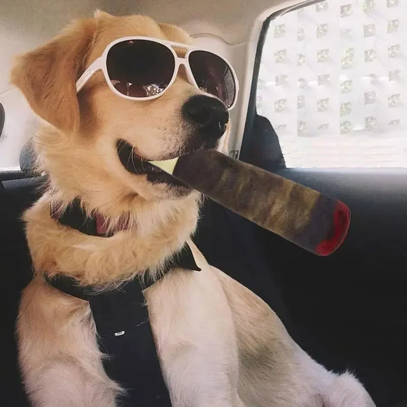 Thumbnail 4 - #23 Best Dog Toys to Buy In 2026