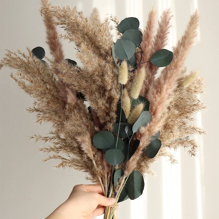 Natural Dried Flowers Pampas Bouquets Boho Home Party Decoration Artifical Flower Rabbit Bunny Tail Grass Wedding Country Decor