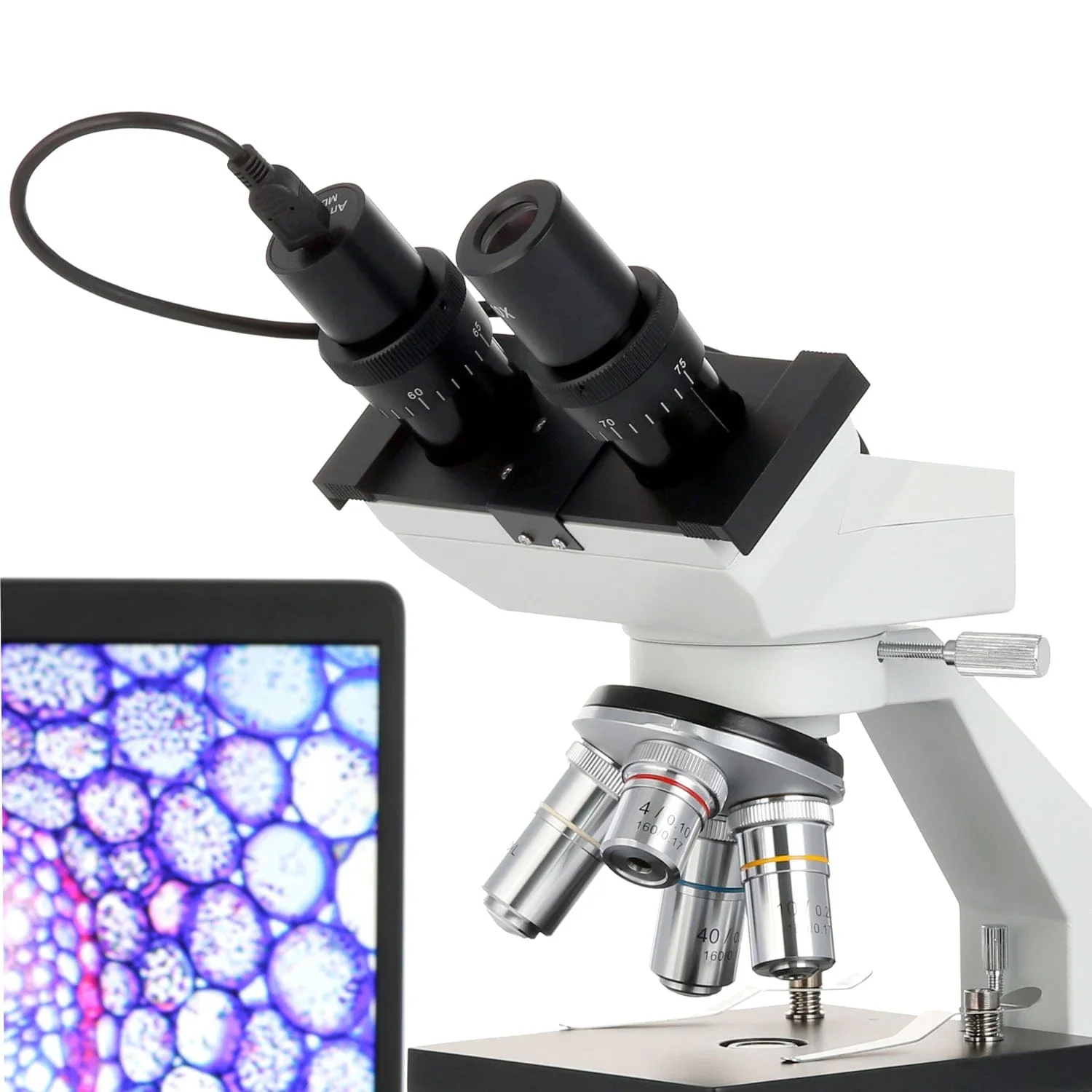 AmScope MD Series 3.0MP USB 2.0 Cámara microscópica ocular digital CMOS en color