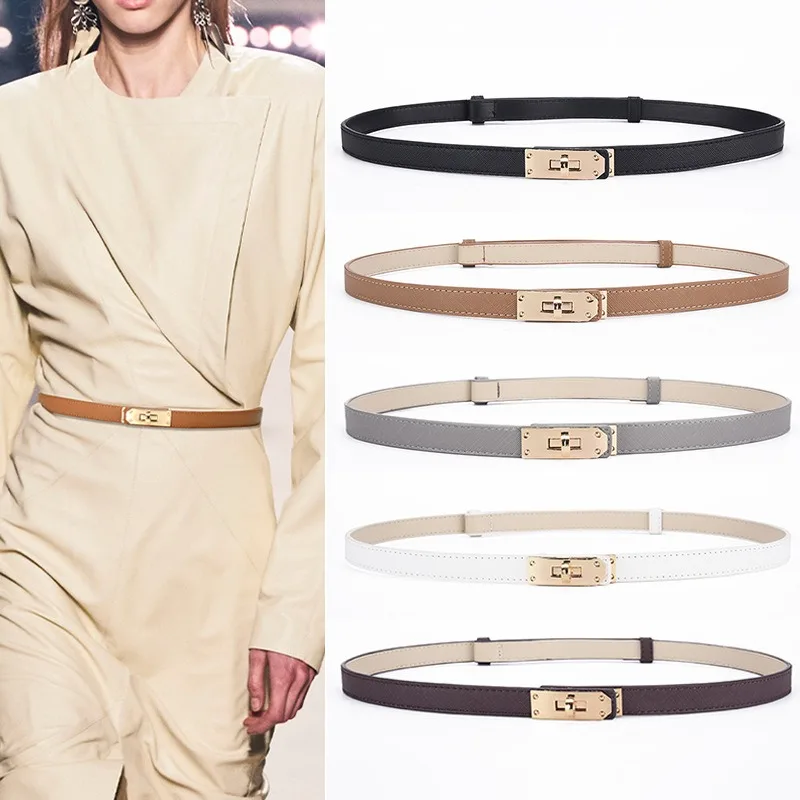 

ZLY 2024 New Fashion Belt Women Slender Type 106CM PU leather Material Golden Metal Buckle Casual Solid Colorful Quality Belt