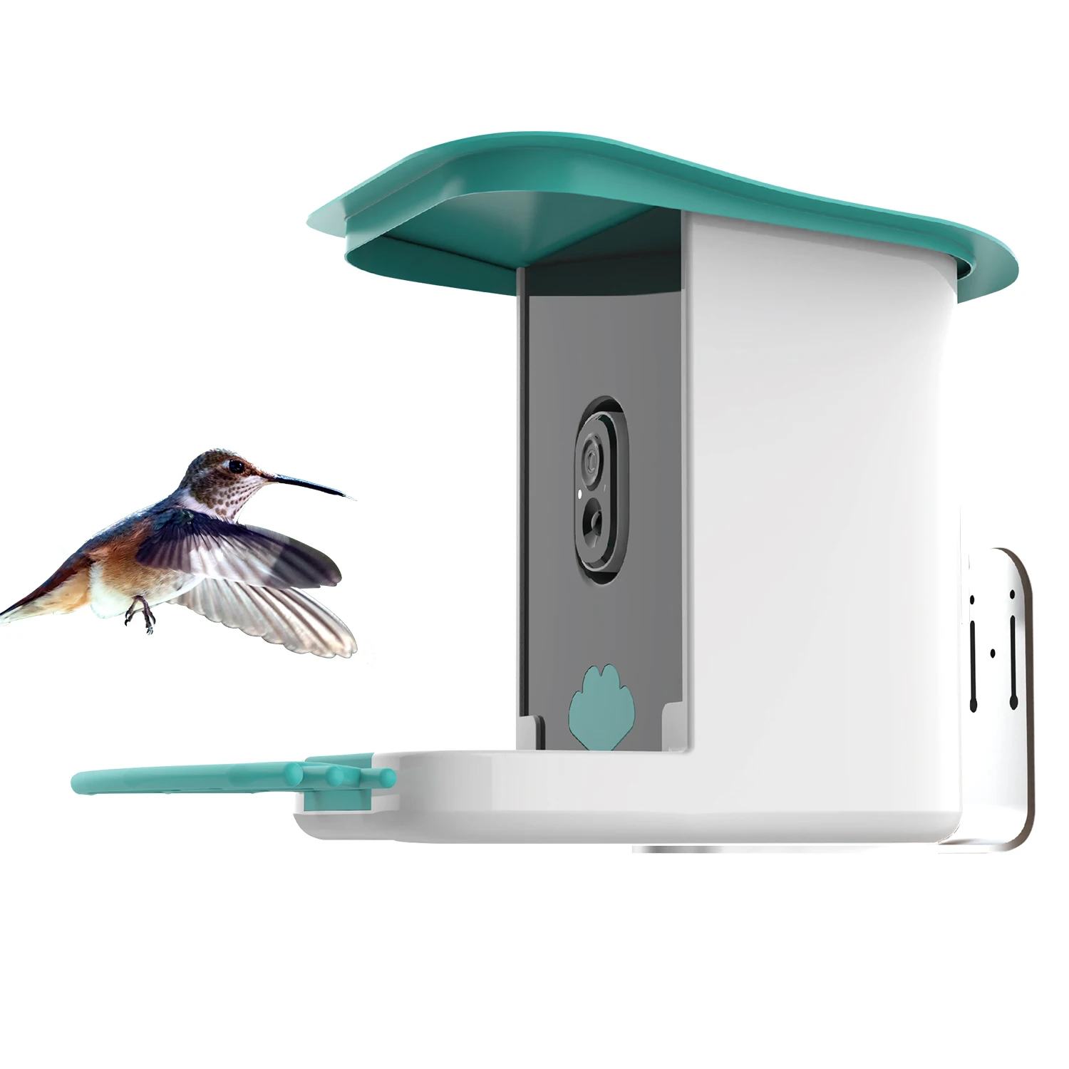 

Auto Capture Bird Video and APP Notify Smart Bird Feeder with 1080P Camera