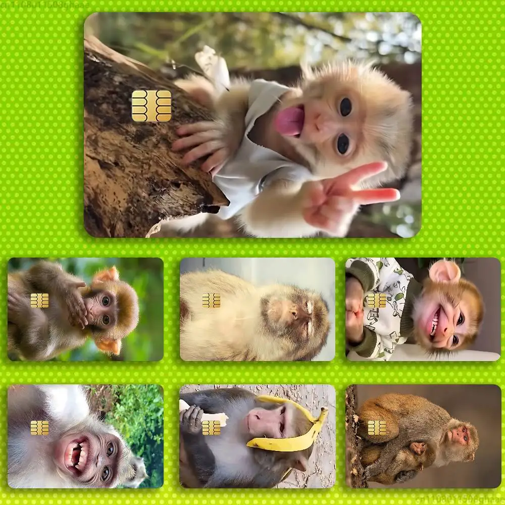 

Funny Cute Monkey Sticker Film Tape Skin for Credit Card Debit Card Cartoon Waterproof Stickers Small Chip
