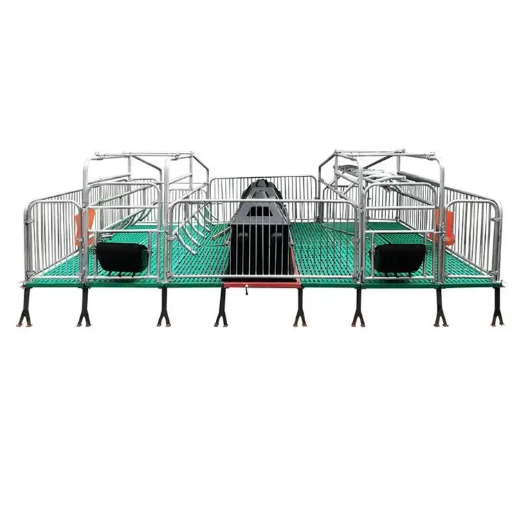 Factory Positioning Fence Panel Farming Pig Equipment Sow Farrowing Bed Dual Pig Farrowing Crate of pig farm