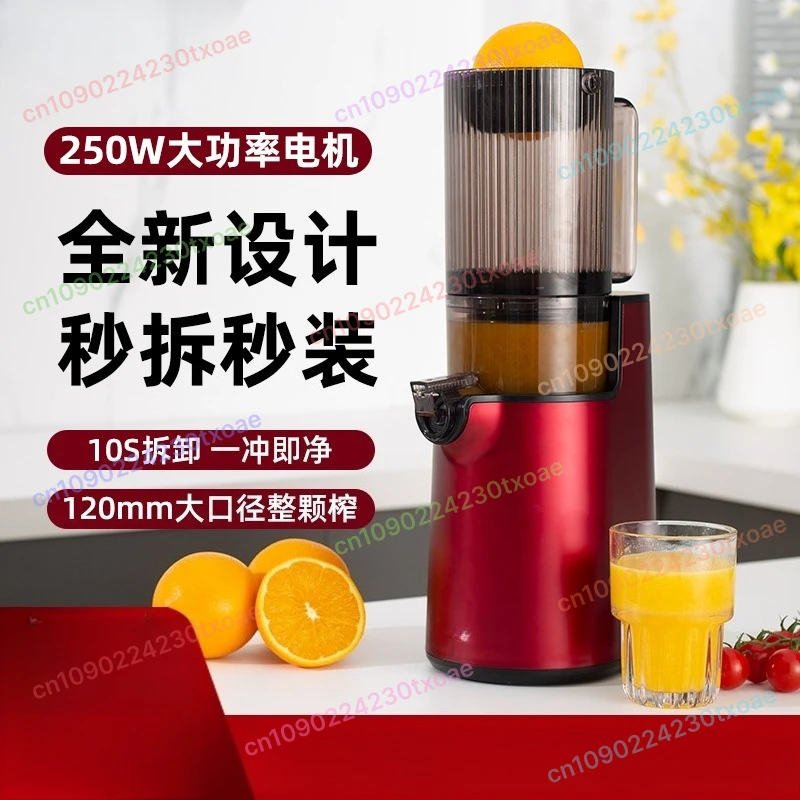 Large Aperture Juicer With Pulp And Juice Separation Automatic Multifunction For Making Ice Cream