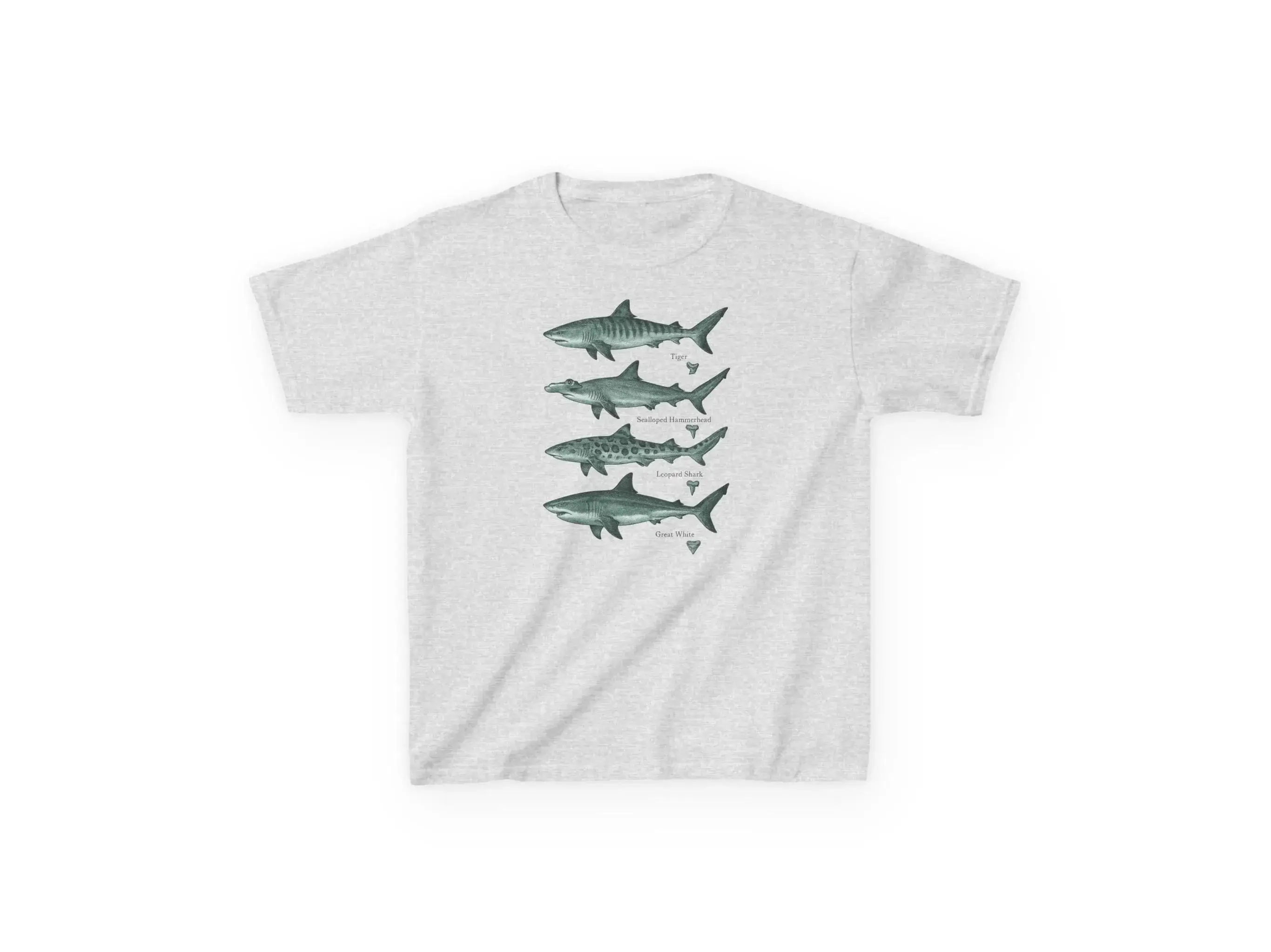 Shark Species T-shirt, Retro Style Marine Creature T-shirt, Paired with Natural Tiger Shark, Hammerhead Shark, and Leopard Shark