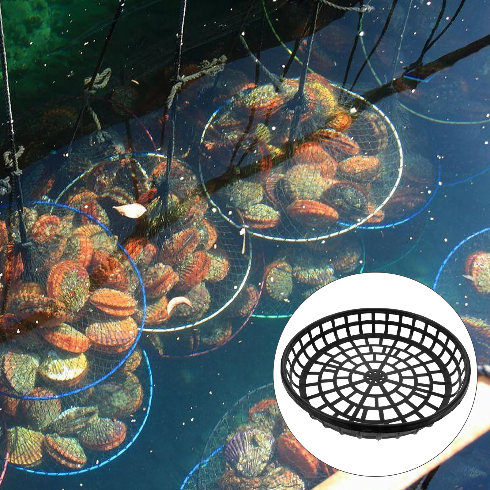 

4pcs Aquaculture Baskets Plastic Mesh For Sea Cucumber Scallop Oyster Abalone Breeding Hollowed Tray Trepang Container Net