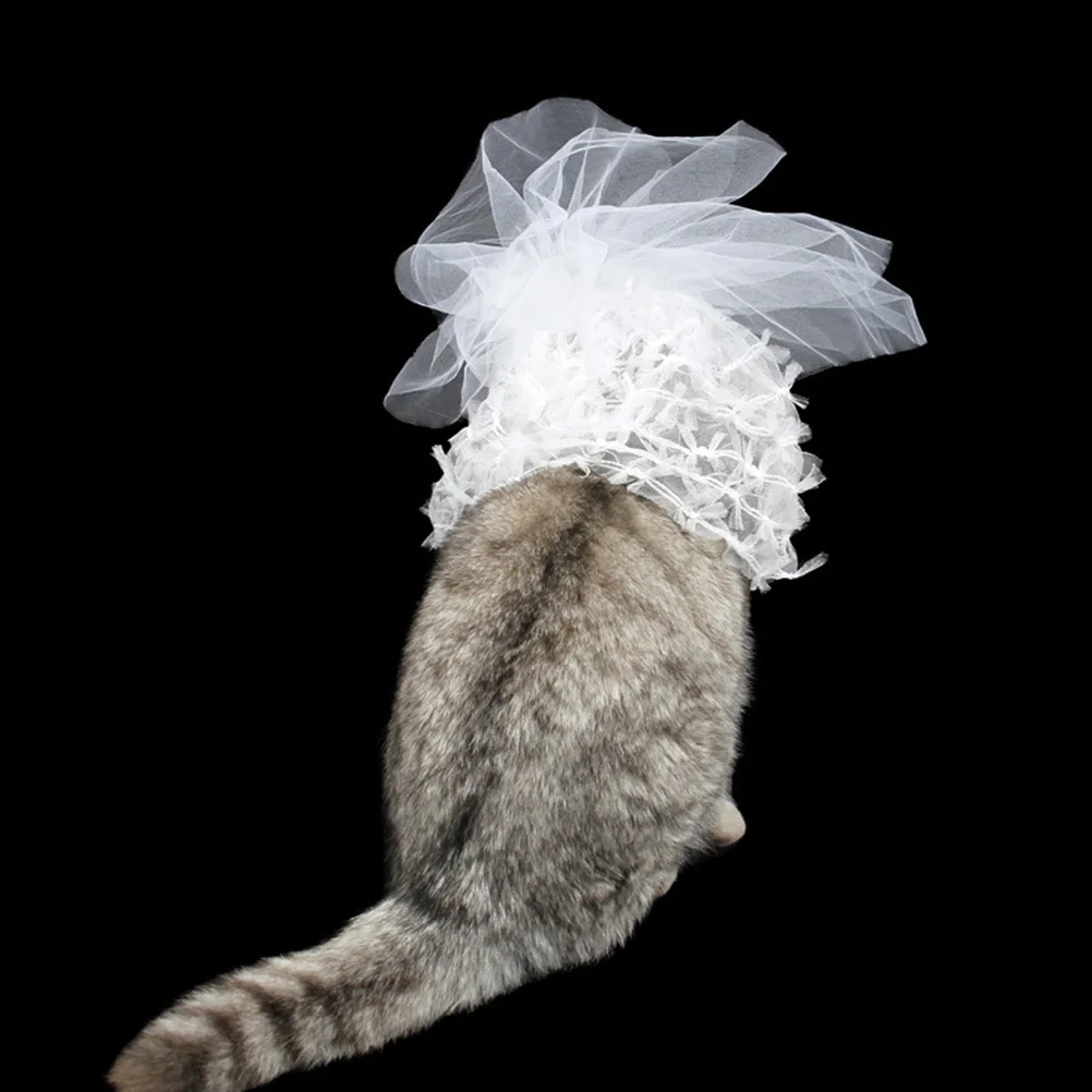 

Cat Wedding Dress Bachelorette for Bride to Be Pet Supplies Bridesmaid