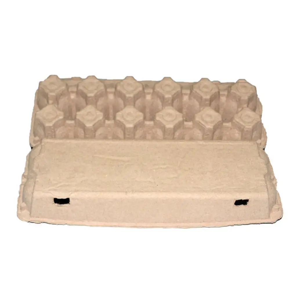 3PCS Egg Cartons Egg Holder Countertop Blank Natural Pulp Egg Cartons Holds Up to 6/12 Eggs 6 Cells 12 Cells