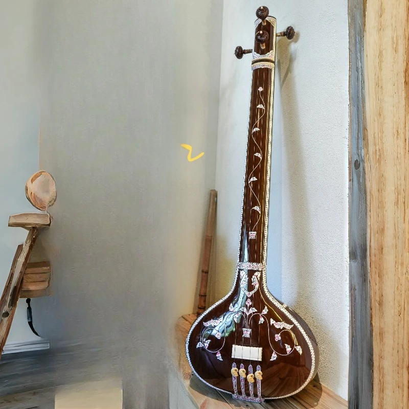 Indian classical instruments's stage backing track music salon, niche ethnic instruments