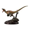 Velociraptor