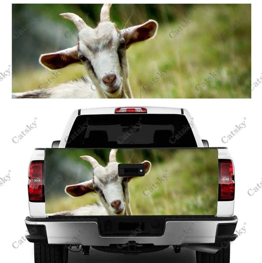 goat animal car sticker truck rear tail modification custom suitable for SUV car truck packaging sticker decal