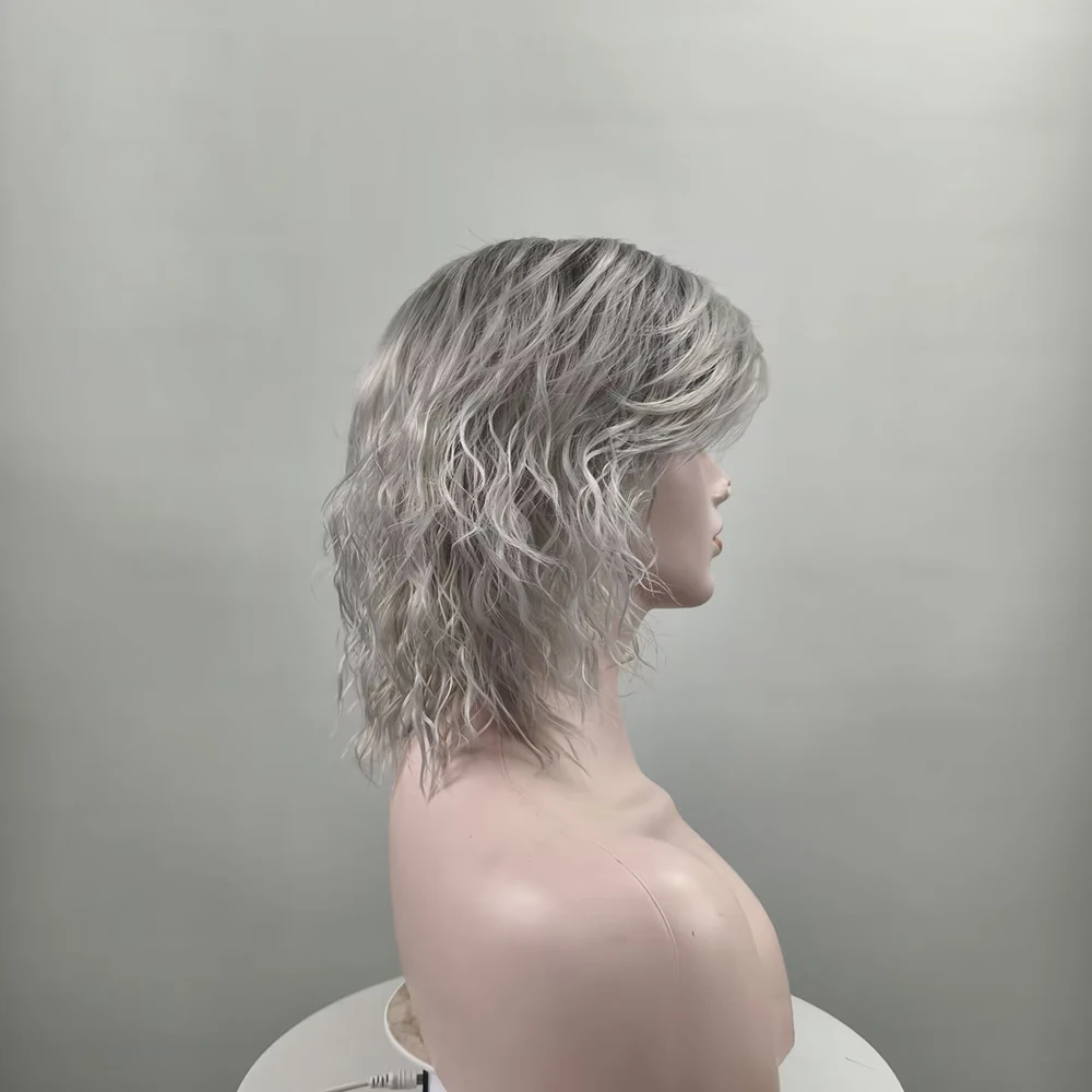 HAIRJOY Synthetic Hair Grey  Wig for White Women Short Curly  Wigs  for Daily Party Use image 5