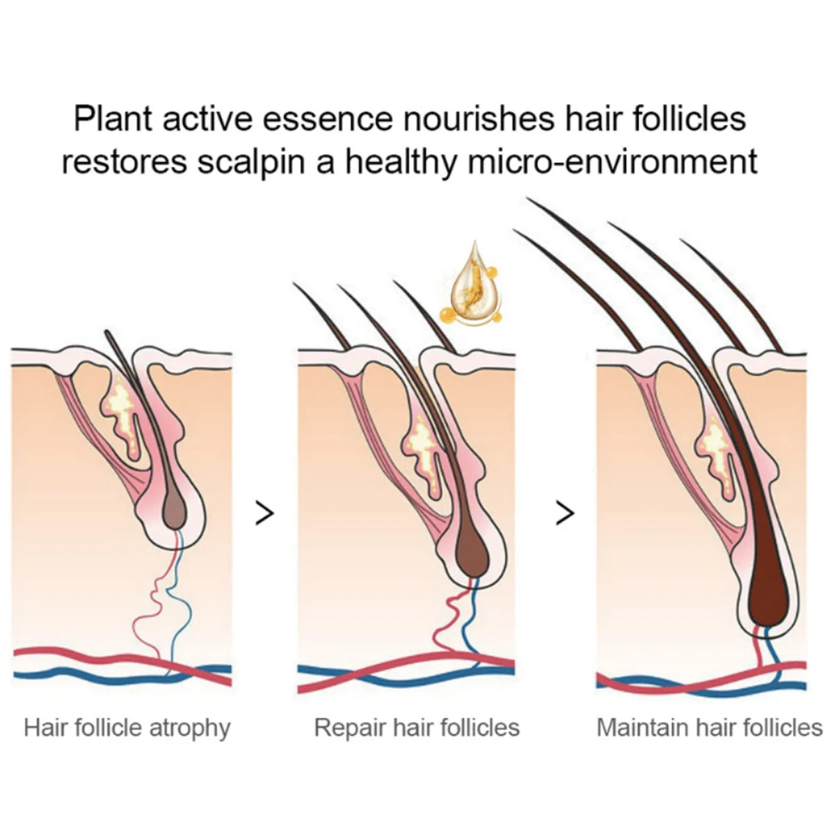 2022 Beard Oil For Men Beard Growth Enhancer Essence Oil Leave-in Conditioner Restore Natural Moisture Beard Beauty Products