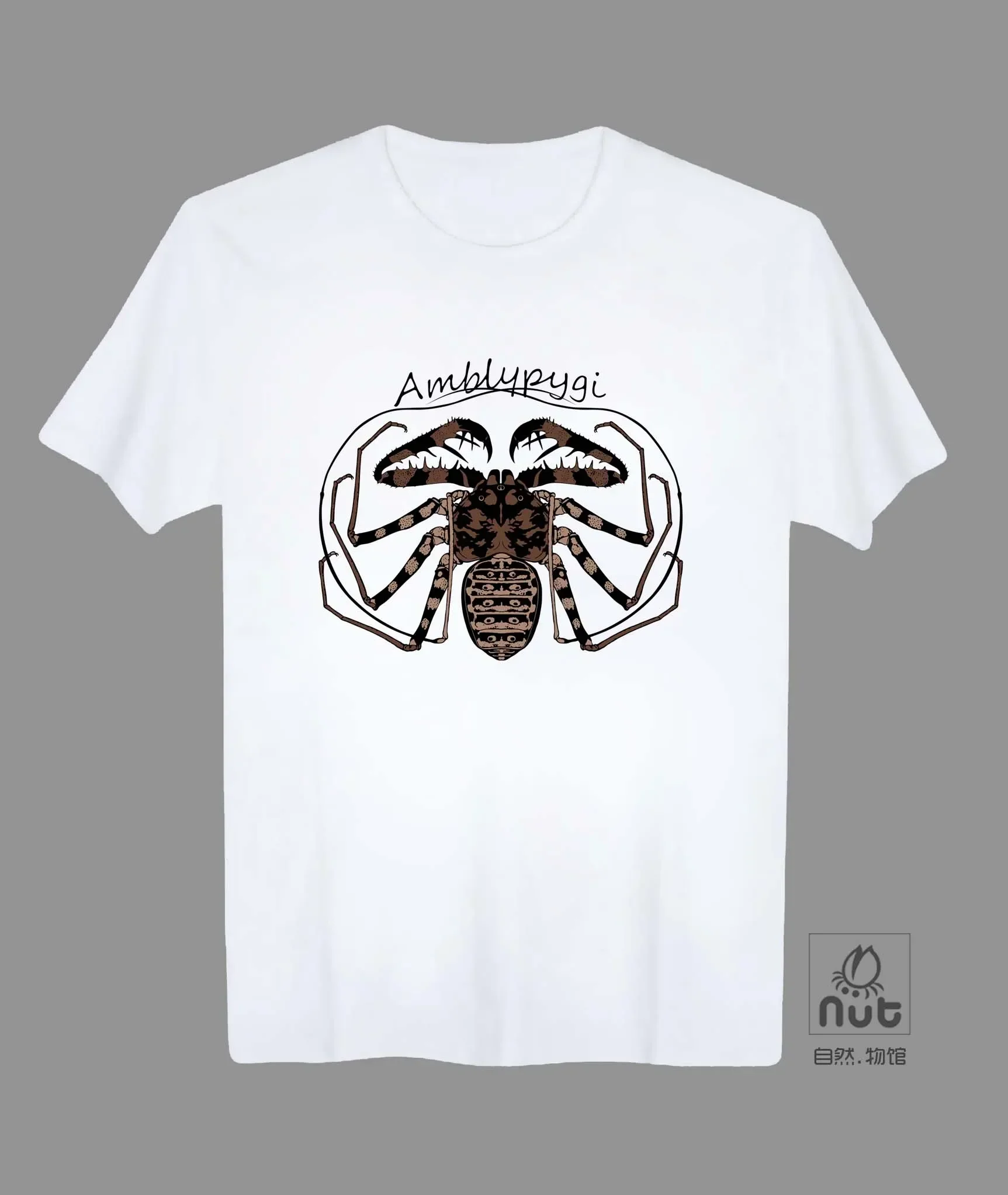 Amblypygi Printed Insect Lovers Gift T Shirt. Short Sleeve 100% Cotton Casual T-shirts Loose Top Size S-3XL