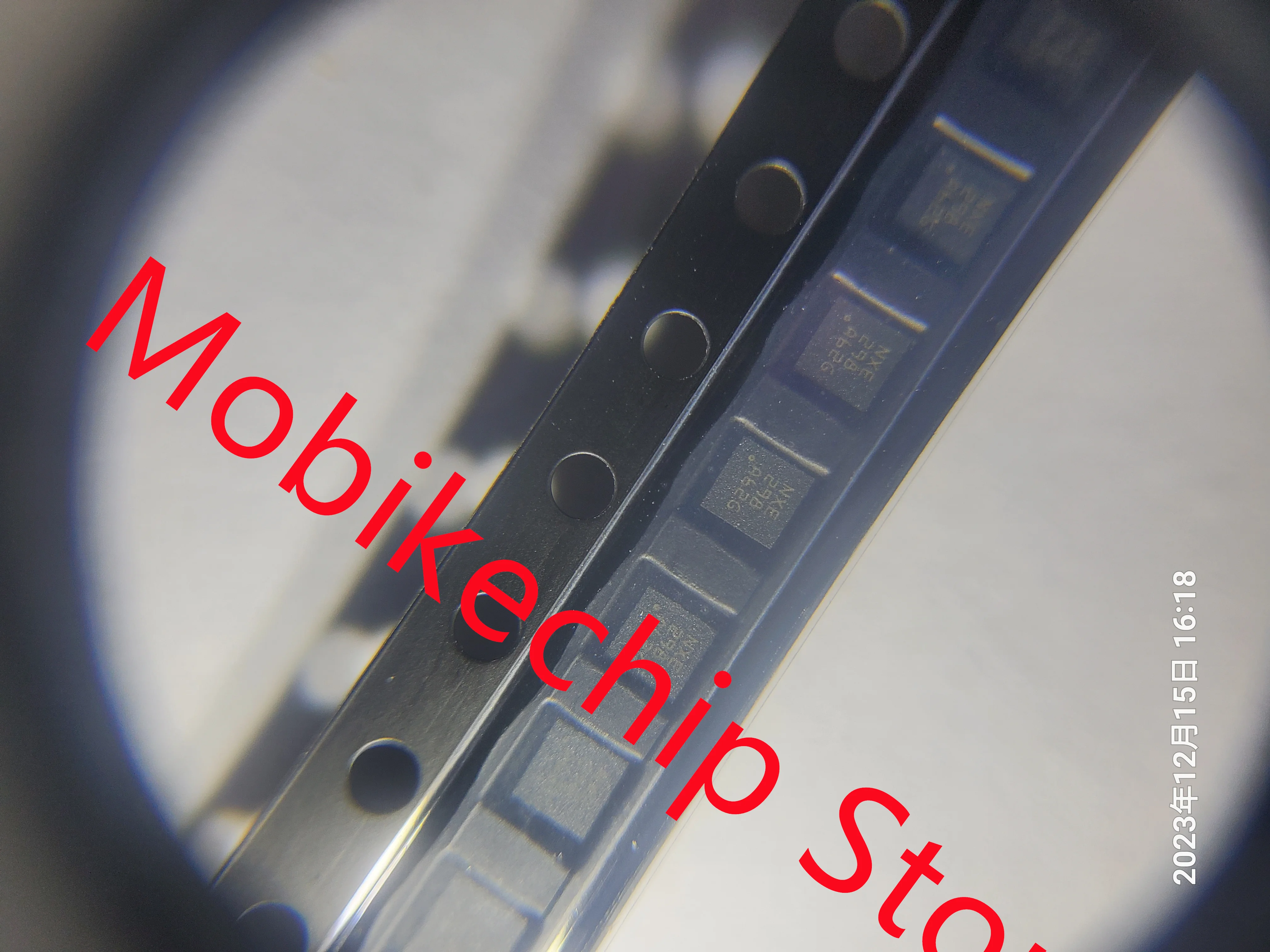 BQKamp40DSQR, BQKamp40DSQT, Neuf, Original, En Stock