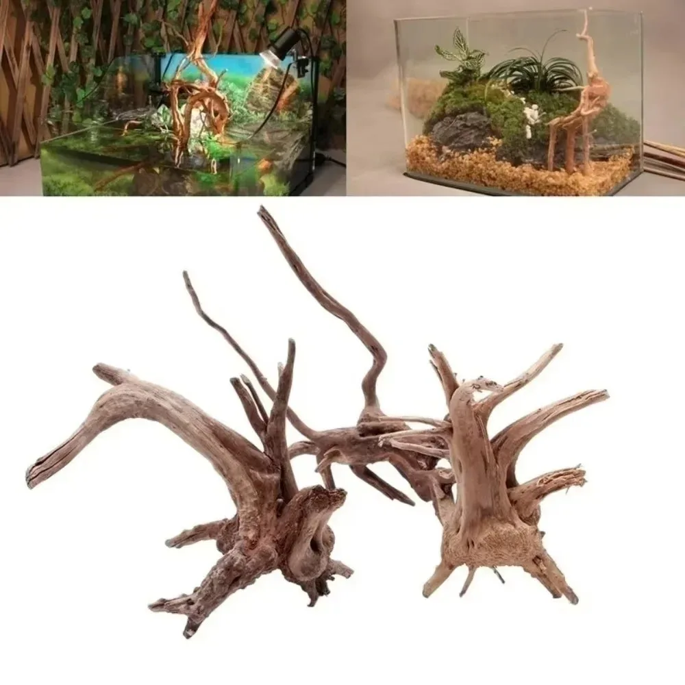Décoration d'aquarium en bois flotté naturel de 15-20 cm - Ornement de qualité supérieure pour aquarium, paysage authentique en bois pour milieux aquatiques