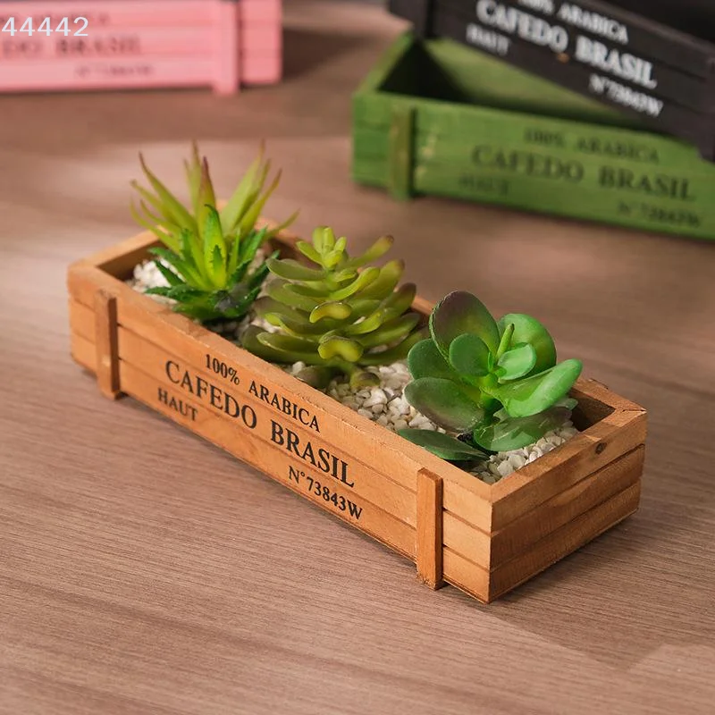 Retro Garden Plant Pot Vintage - Echeveria Succulent review and price