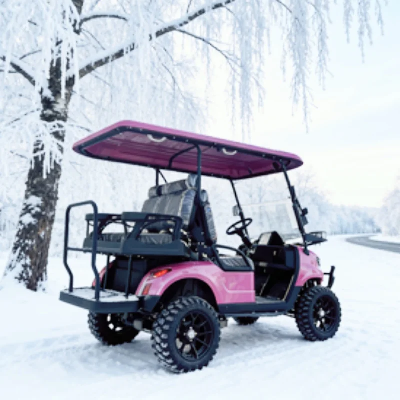 

Trustworthy Supplier 2 4 6 8 Seater Club Car 4000W 5000W Electric Golf Cart Lead-Acid Battery 10 Inch Screen Off Road Tires