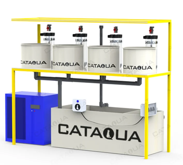 Sophisticated Fish Hatchery System Tilapia Fish Hatchery Equipment New Roe Fish s