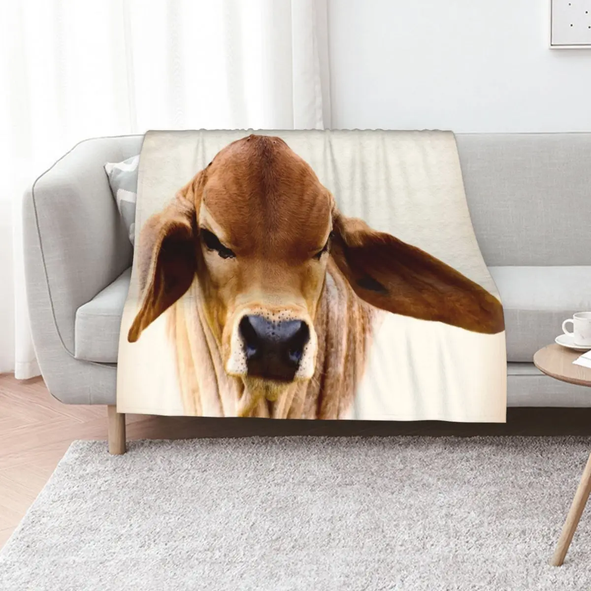 برهمان كالف، بورتريه رمي بطانية ديكورات فاخرة مصممة محشوة بطانيات متحركة