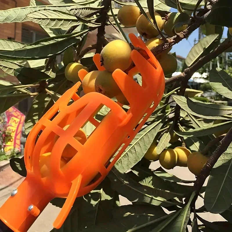 1pc High-Altitude Fruit Picker Loquat Bayberry Plastic Garden Fruit Picking Tool Harvester Catcher For Hand Peach, Plum, Jujube,