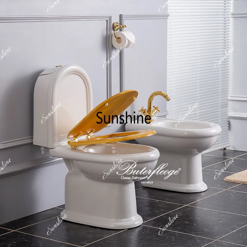 Arched mini water tank split toilet small apartment toilet toilet