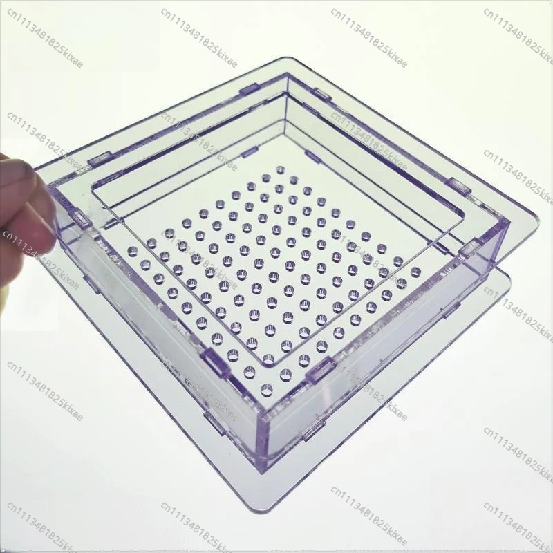 For Molecular Cuisine, Caviar Generator 100 Hole Molecular Gourmet Tools, Caviar Box