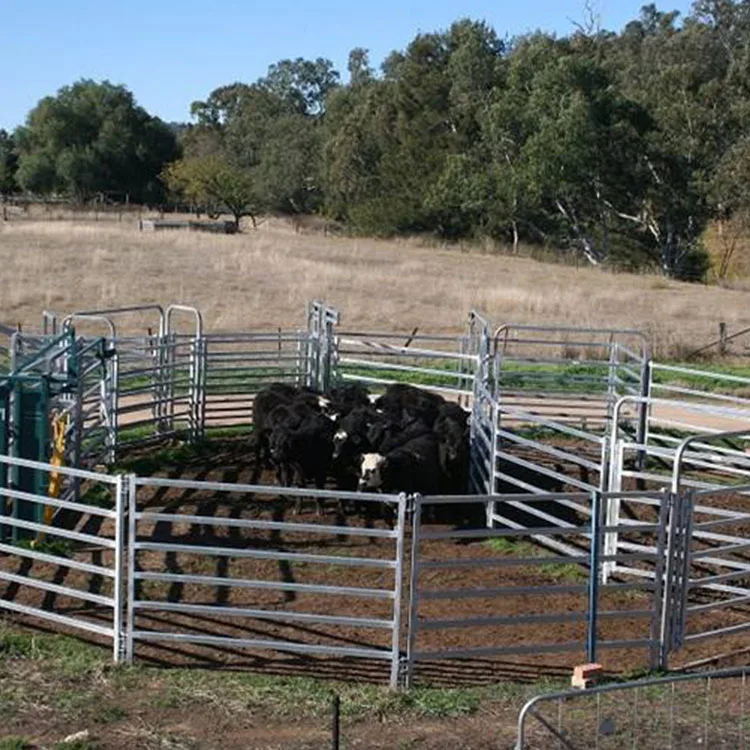 Portable Galvanized Steel Cattle Panel, Horse Fence, Farm Fence and Gates, Corral