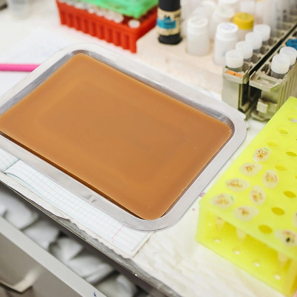 

2pcs Metal Dissecting Wax Lined Lab Biological Pan For Scientific Experiments Labs Tray Medical Storage Plate Small Wax