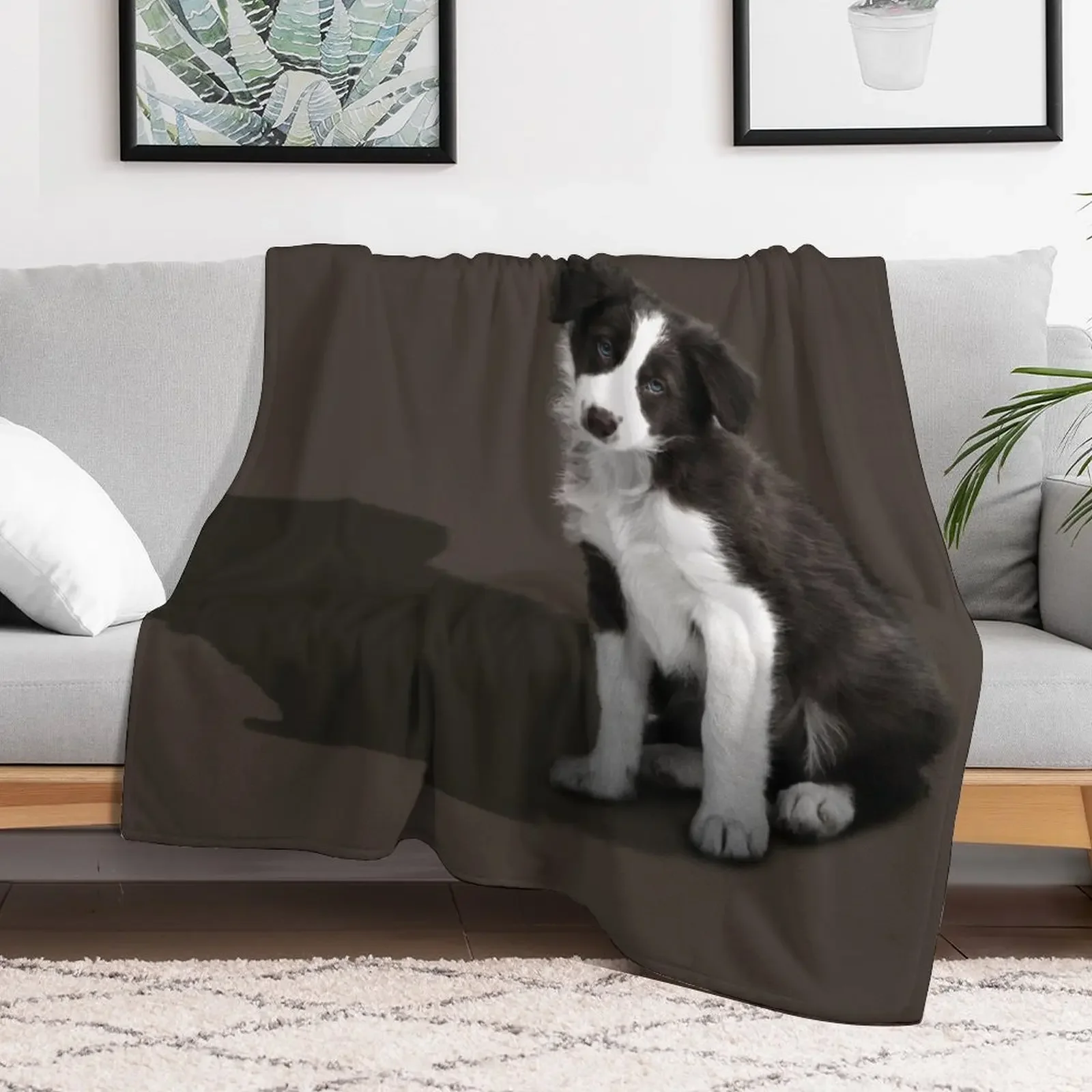 New Border Collie Puppy Throw Blanket Retros Vintage Heavy Bed linens Blankets