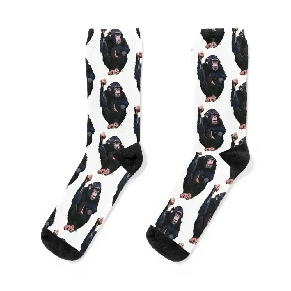 

Chimpanzee (Pan troglodytes schweinfurthii) Socks christmas gifts tennis Soccer Male Socks Women's