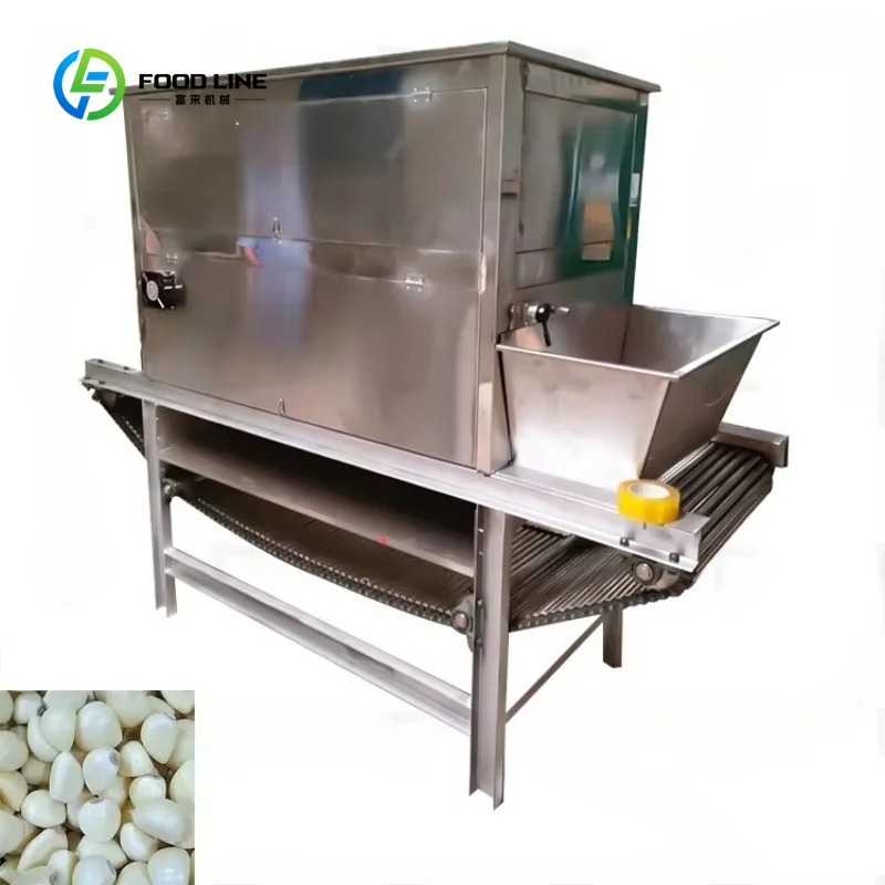 Customized Full Automatic High Quality Machine for Peeling Garlic / Chain Garlic Peeling Machine