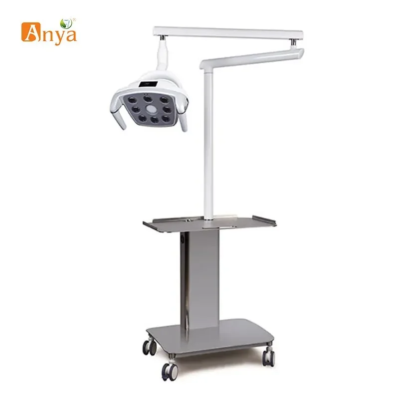 Dental Chair Installed 8 LED Lamp Color‑Switchable Oral Examination Illumination Light