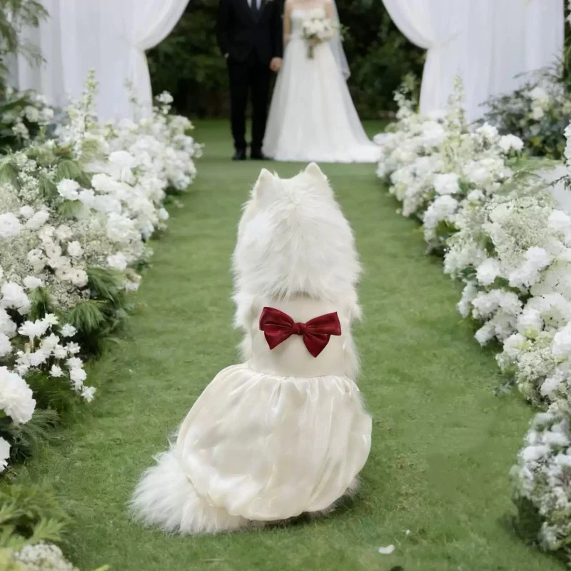 Large Dog Wedding Dress Big Dog Clothes Schnauzer Border Collie Samoyed Husky Labrador Golden Retriever Clothing Pet Apparel