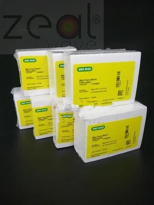 For BIORAD Bole Small Vertical Electrophoresis Thin Glass Plate Short Glass Plate Long Rubber 1653308 1653310 1653311 1653312
