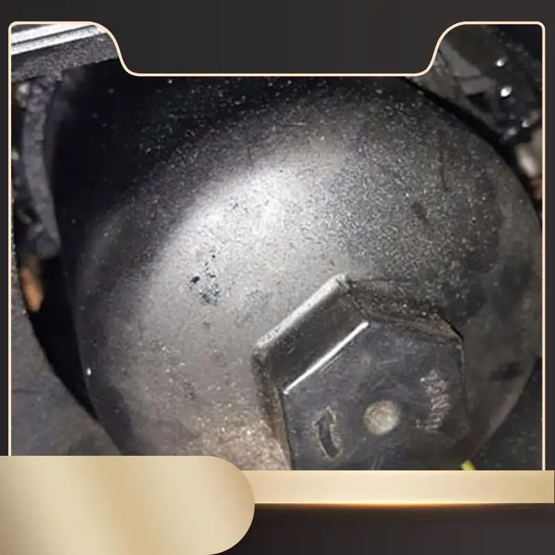 

LR111341 LR085987 Запасные части топливного фильтра для Land Rover Discovery Sport Rr Evoque Jaguar E-Pace 2,0 дизельный топливный фильтр