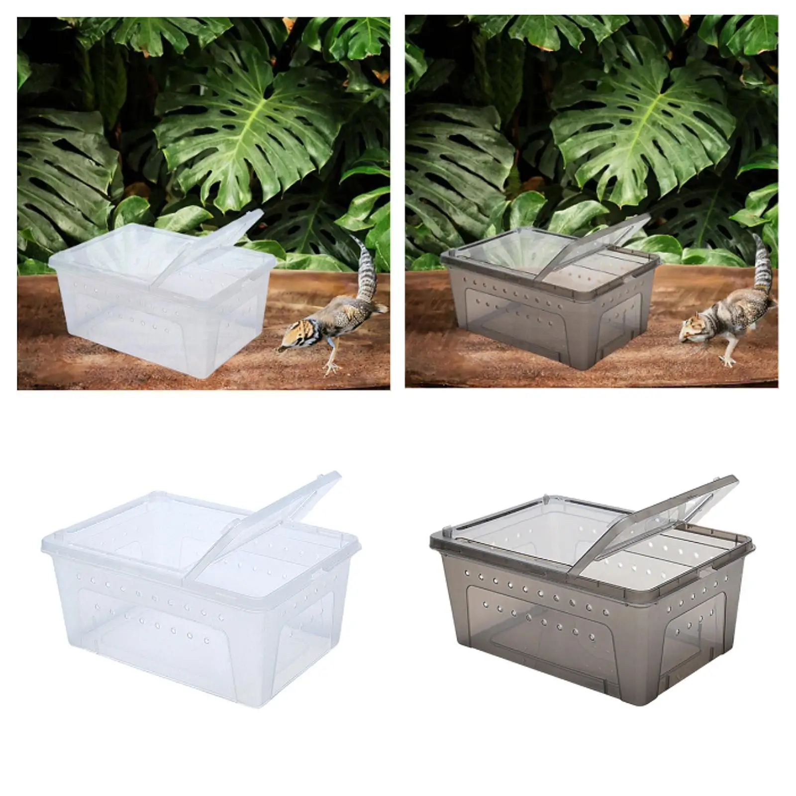 Reptile Breeding Box Lightweight Terrarium Breeding Tank Portable Animal Habitat Cage for Silkworm Scorpion Frogs Gecko Turtle
