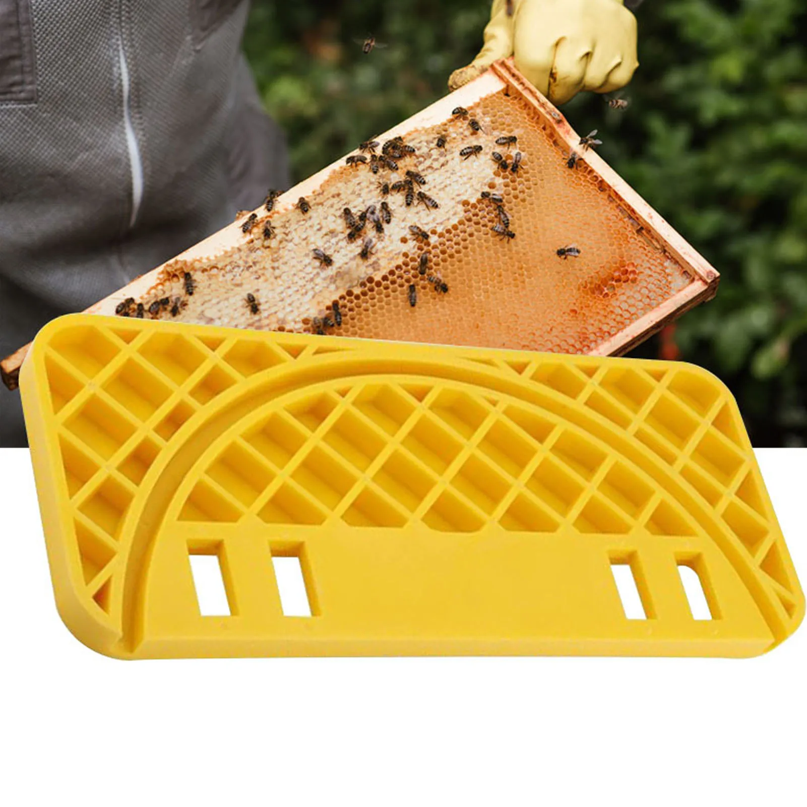 

Uncapping Tank Holder Flat Honey Shelf Plastic Scraper Versatile Beehive Tool For Hive Cleaning Home Farm