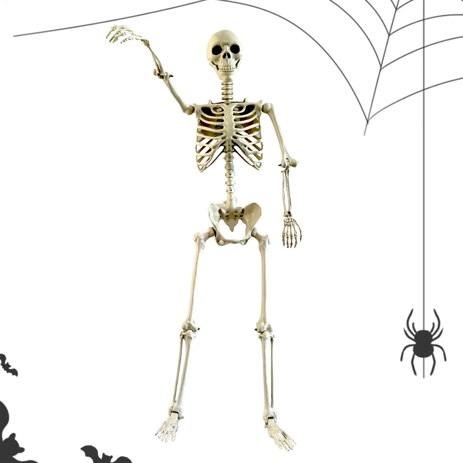 Halloween Realistische Körperskelette in Lebensgröße mit Beweglichen Gelenken, Simulierter Schädel, Geisterhaus-Horror-Requisiten – Detail 2
