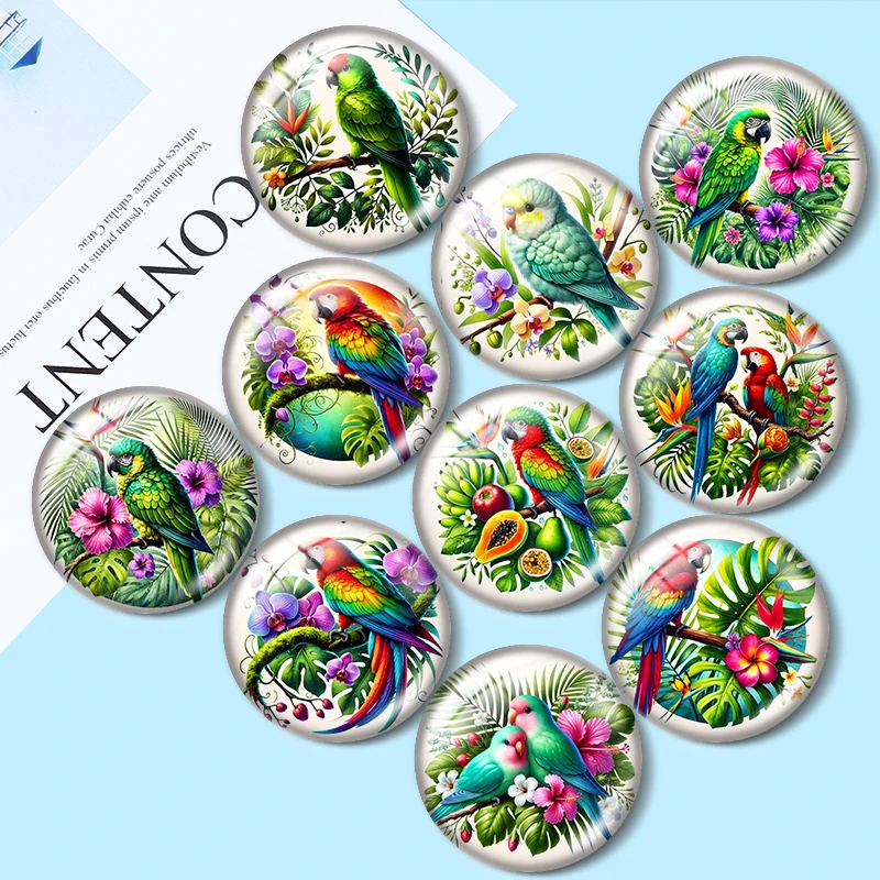

Tropical Parrots 12mm/18mm/20mm/25mm Round photo glass cabochon flat back Making findings keychain