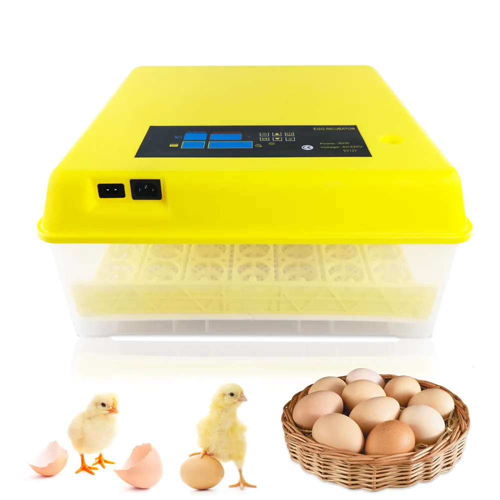 

Custom Household 56 Chickens Egg Incubator CE Approved Mini Smart Automatic Hatchery Machine