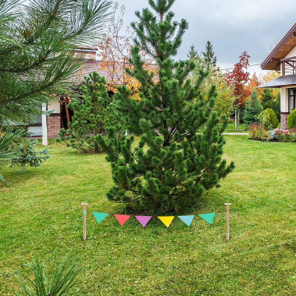 12개 스테인리스 스틸 서베이 네일, 토지 경계 표시용 날카로운 끝 지주, 잔디 정원 고정용 지주, 토지 경계 표시기