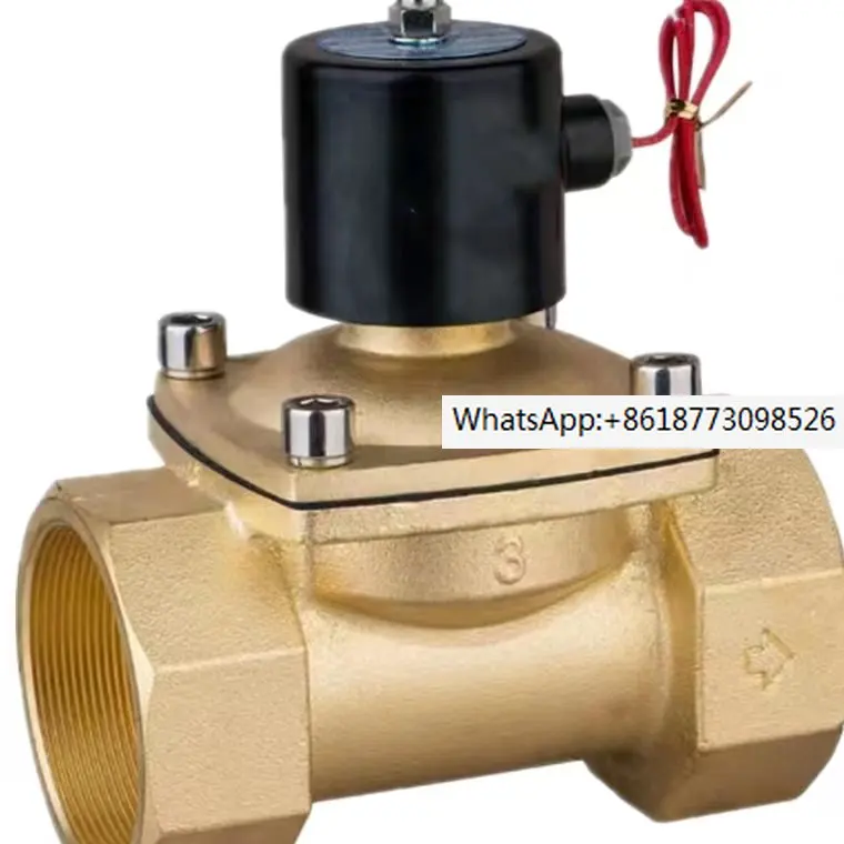 2 way Brass water valve 3 inch solenoid valve 220V AC Normally close Wire lead type large solenoid valves 2W800-80