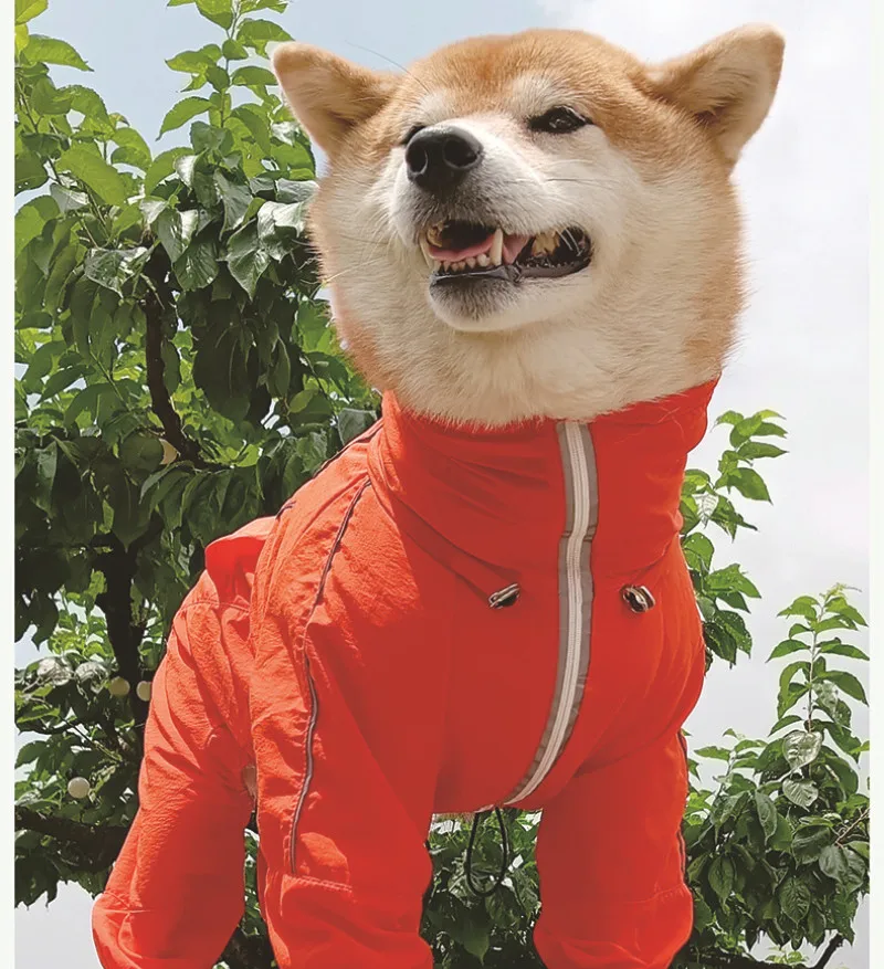 

Зимняя одежда для домашних животных, костюм для больших собак, Сиба-ину, самоед, бордер-колли, хаски, лабрадор, золотистый ретривер, одежда для больших домашних животных, комбинезон