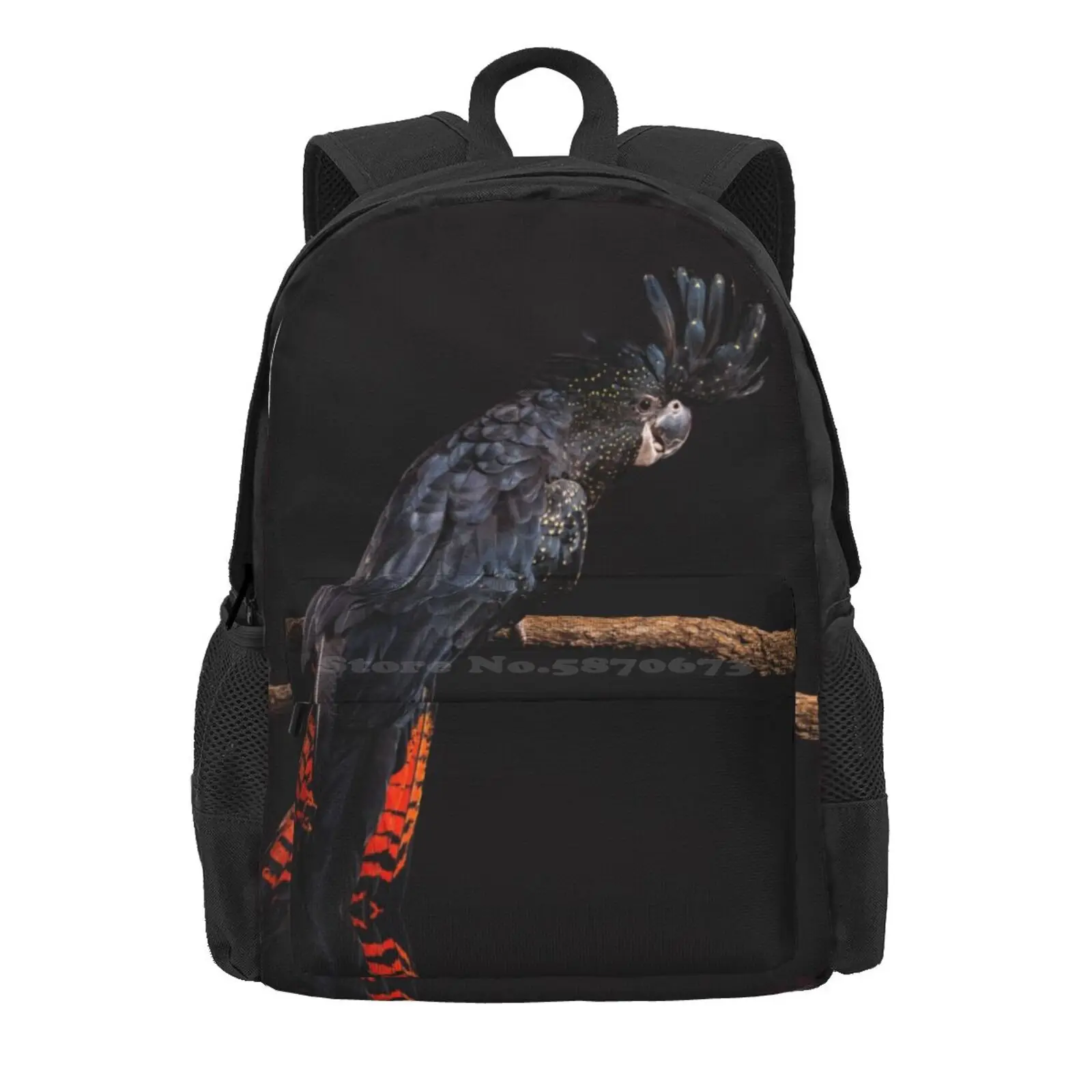 Red-Tailed Black Cockatoo Studio Portrait #5 Hot Sale Schoolbag Backpack Fashion Bags Studio Lit Forest Red Tail Cockatoo Red