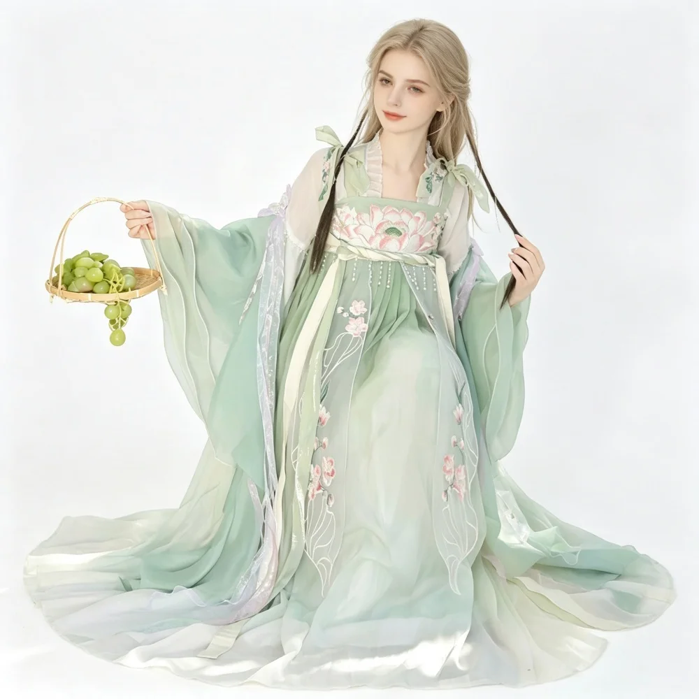 New Fairy Hanfu Women Tang Dynasty Traditional Costume Floral Embroidery Gradient Sheer Chiffon Party Dress